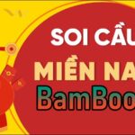 Soi Cầu XSMN 20/02/2024 thứ 3 – DỰ ĐOÁN XỔ SỐ MIỀN NAM