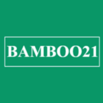 Đăng ký nhiều tài khoản Bamboo21 được không?