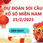 Soi Cầu XSMN 25/2/2025