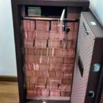 Dùng tiền lừa đảo mua 6kg vàng giấu trong chuồng gà, chôn hàng chục tỷ đồng dưới đất