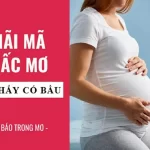 Ngủ Mơ Thấy Có Bầu Thì Nên Đánh Con Gì?