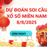 Soi Cầu XSMT 8/8/2025
