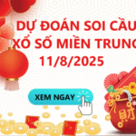 Soi Cầu XSMT 11/8/2025